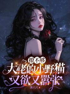 �ò��������е�СҰè����������