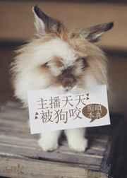 �������챻��ҧ