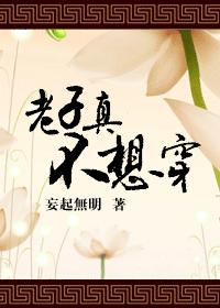 �����治�봩