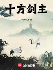 ʮ������