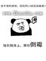 ��Ҫ������