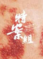 ���ⰸ��������VI