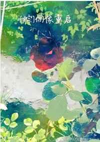 [��]ż����������᡿