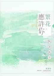 ����Ӧ����