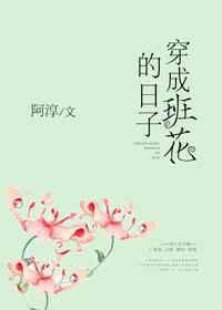 ���ɰ໨������